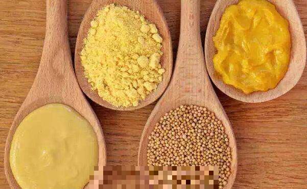 黄芥末和绿芥末的区别 黄芥末的功效