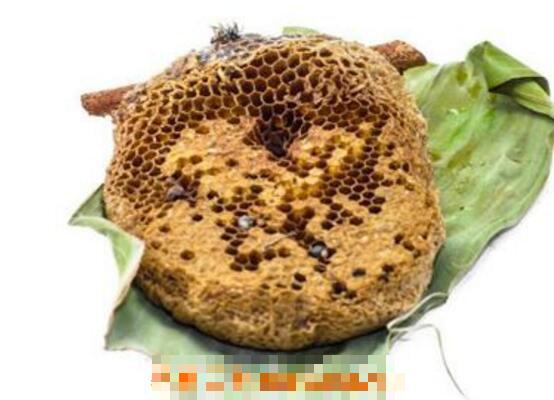 蜜蜂窝熬水能治什么病 蜜蜂窝煮水的作用