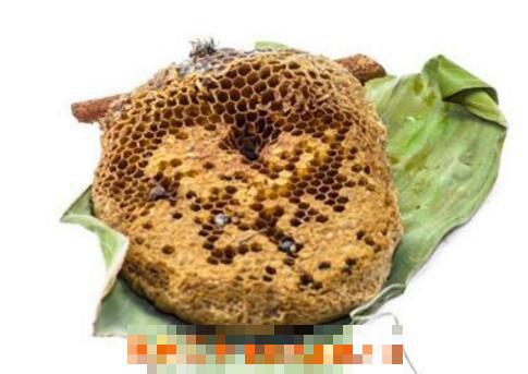 蜂房的功效与作用 吃蜂房的好处