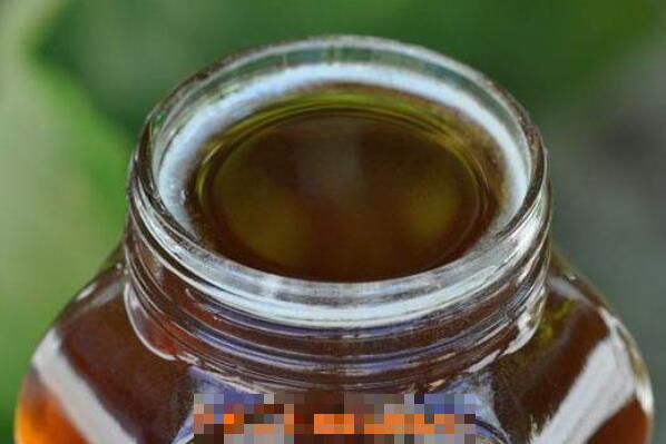 桉树蜜的功效与作用 桉树蜜的副作用