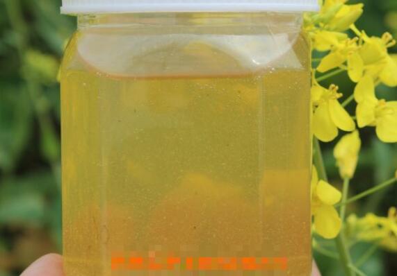 油菜花蜂蜜的功效与作用 油菜花蜂蜜是凉性的吗