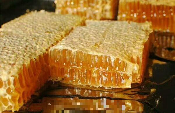 软蜂房与硬蜂房的区别 软蜂房的功效