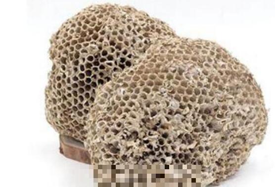 软蜂房与硬蜂房的区别 软蜂房的功效