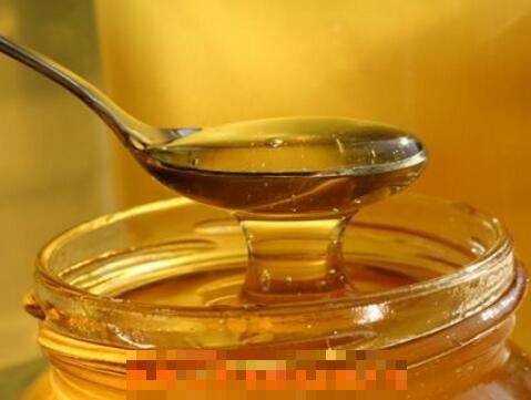 蒸蜂蜜的功效与作用