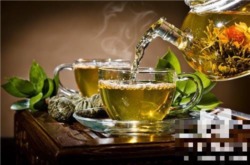 清热利湿茶怎么做？