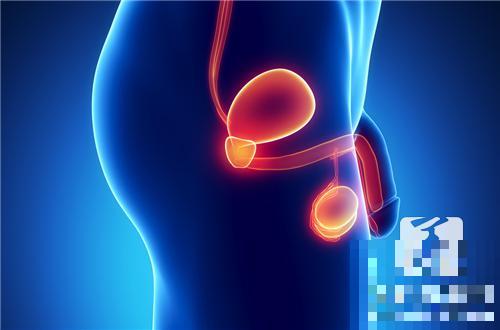 膀胱炎早期症状都有什么？